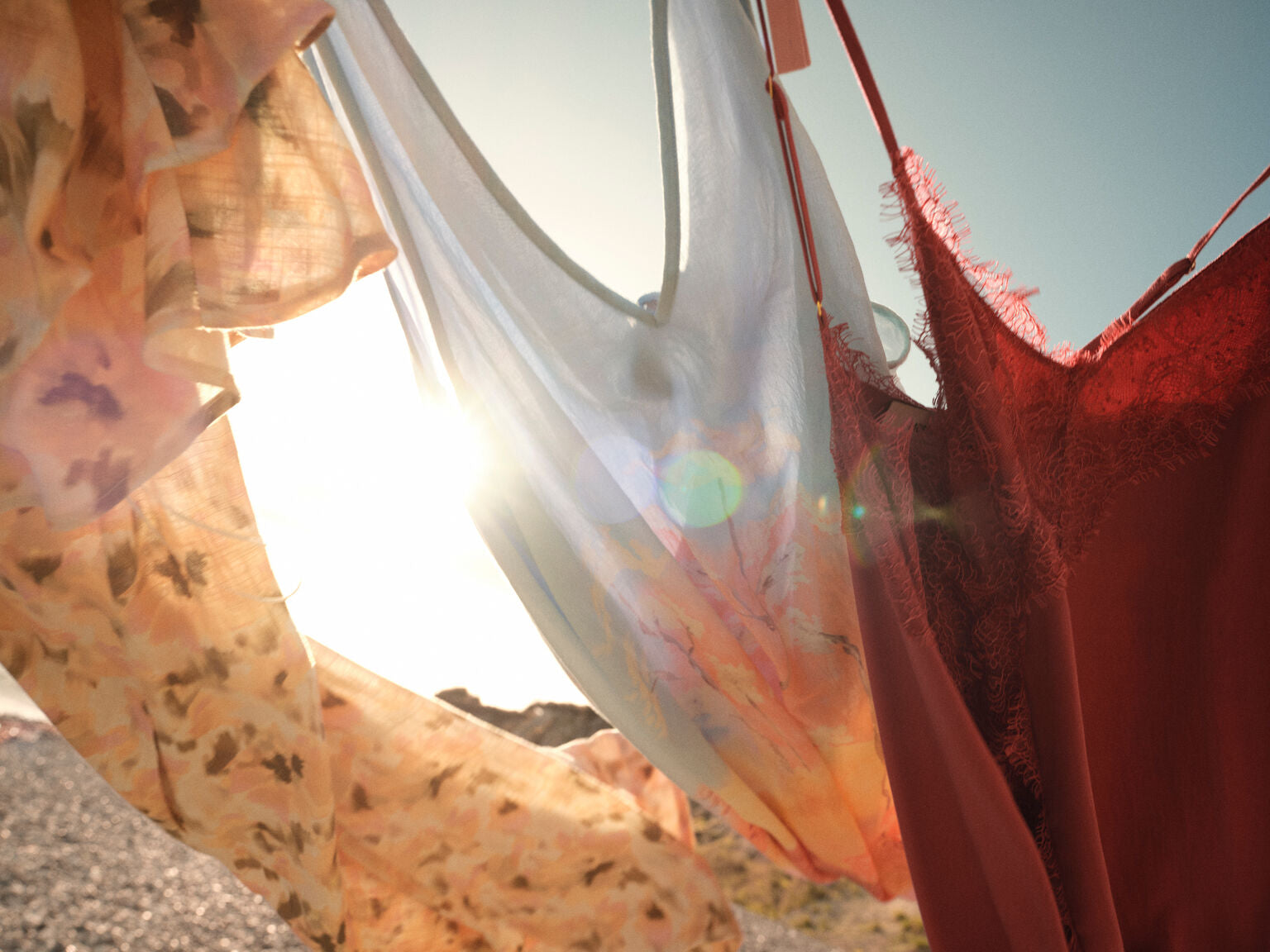 The Dance of Wildflowers and Sun