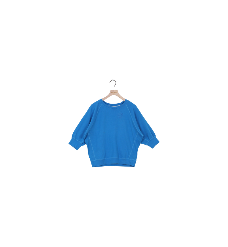 Packshot / Blue Aster / ReLoved