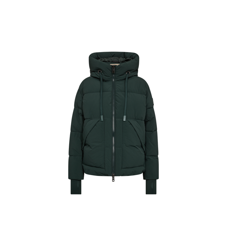 Packshot / Scarab / Front