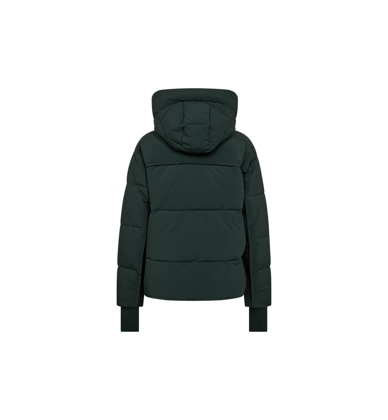 Packshot / Scarab / Back