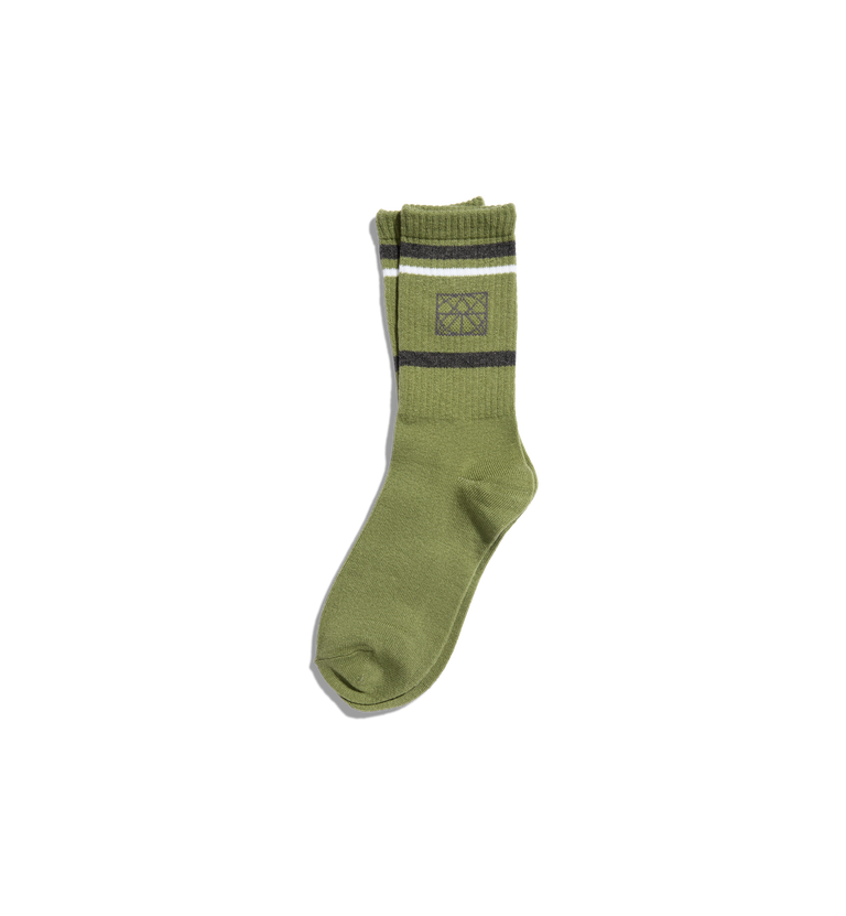 Packshot / Cactus / Front