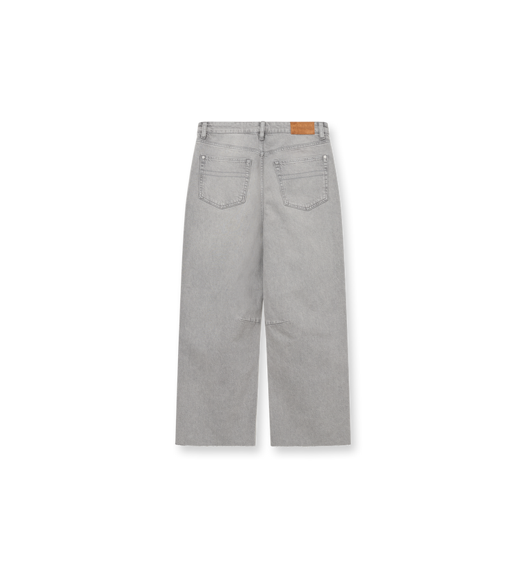 Packshot / Grey Denim / Back