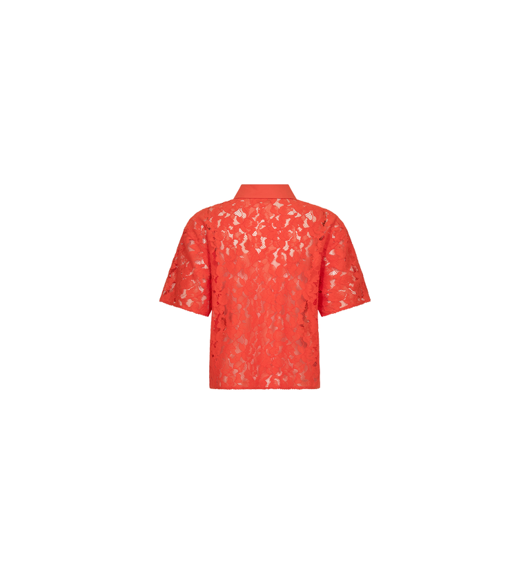 Packshot / Spicy Orange / Back